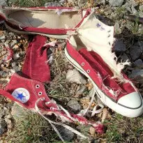 ripping classic Chucks